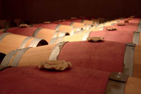barriques de vin