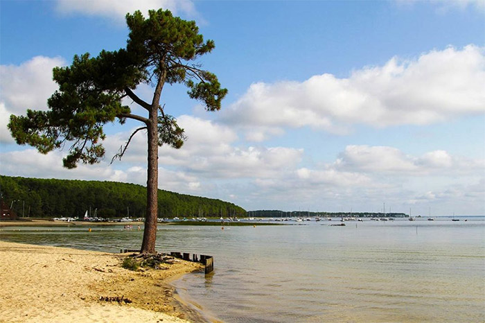 camping nature proche lac en Gironde